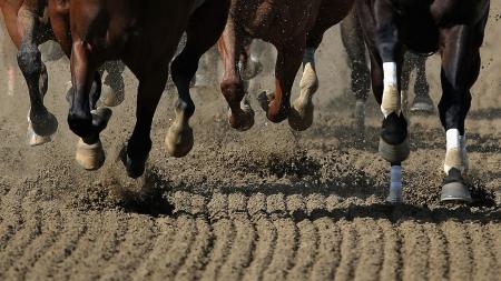 https://betting.betfair.com/horse-racing/Horse%20hooves%201280x720.jpg